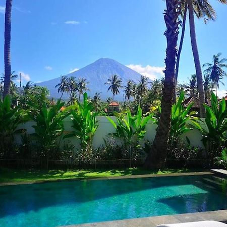 Villa Uhaina アメッド エクステリア 写真